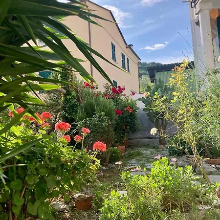 Nel Blu Dipinto Di Blu Levanto