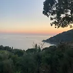 Nel Blu Dipinto Di Blu * 莱万托