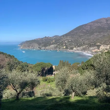 Apartment Nel Blu Dipinto Di Blu *