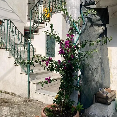 Nel Blu Dipinto Di Blu Apartment