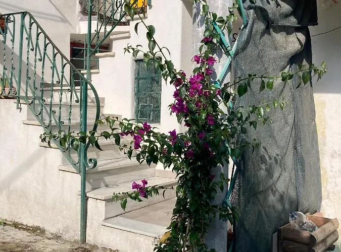 Nel Blu Dipinto Di Blu Apartment